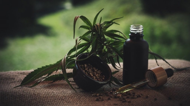 The Incredible Benefits of CBD Products: Unlocking Nature’s Healing Power