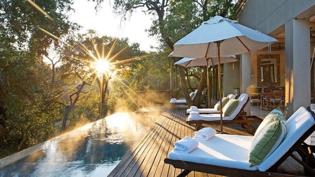 Roaming in Opulence: The Ultimate Luxury Safari Experience