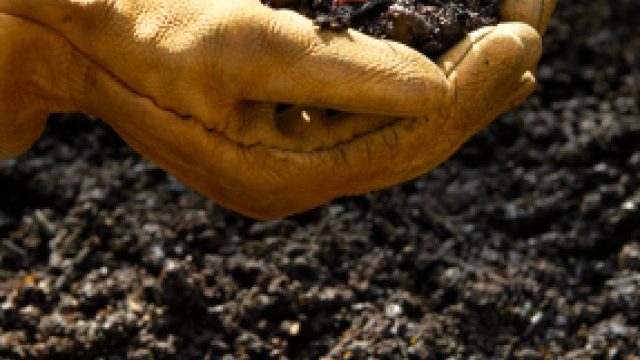 The Green Revolution: Unveiling the Power of Organic Soils and Fertilizers