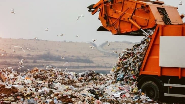 Trash or Treasure: Unveiling the Secrets of Efficient Waste Removal