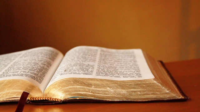 Divine Revelations: A Journey Through Bible Study