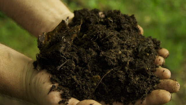 The Power of Organic: Enhancing Soil Health with Nature’s Goodness