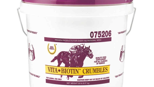 The Power of Equine Nutraceuticals: Boosting Horse Health with Supplements