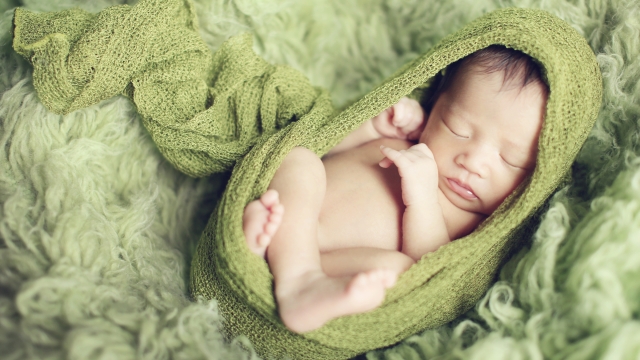 Capturing Tiny Moments: The Art of Newborn Photography