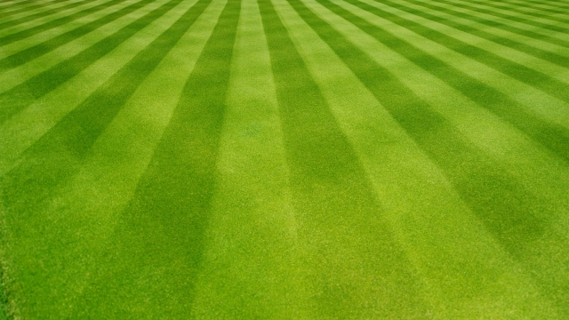 From Shaggy to Stunning: Mastering the Art of Lawn Care