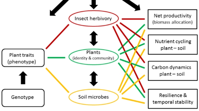 Harmony in Diversity: Exploring the Vital Link Between Ecology and Biodiversity