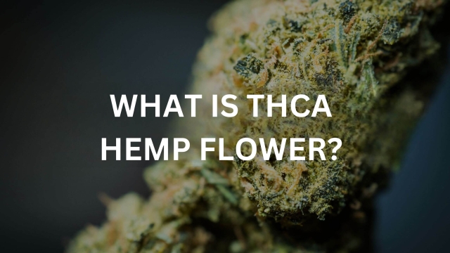 The Power of THCA Flower: Unlocking Nature’s Potential