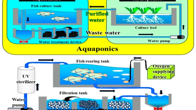 Revolutionizing the Seas: The Future of Aquaculture Technology