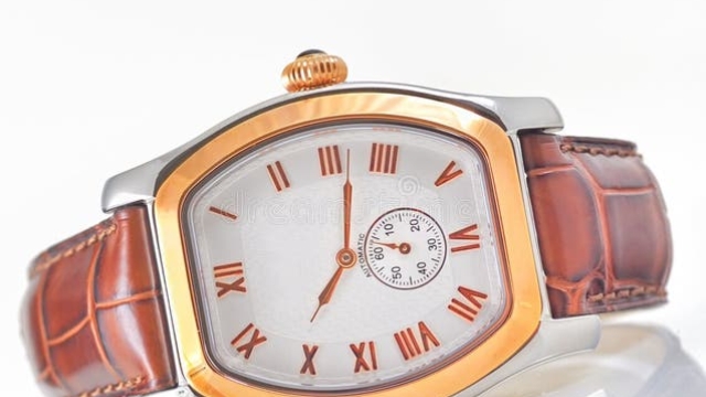 Timeless Elegance: Discover the Best Premium Watches for Men