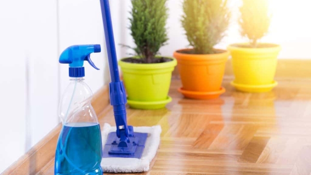 Sparkling Spaces: Transform Your Life with Professional Cleaning Services