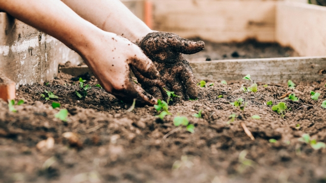 Farming Products for Drought-Resilient Agriculture